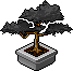 Charcoal Leaf Bonsai