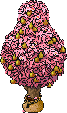 Sacked Ophelie's Sakura Pear Tree