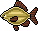 Crucian Carp