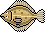 Flounder