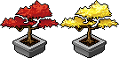 Bonsai Set