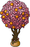 Sacked Ophelie's Sakura Orange Tree