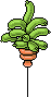 Aloe There