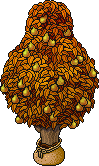 Sacked Pear Tree (Yellow)