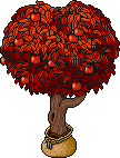 Sacked Apple Tree (Red)