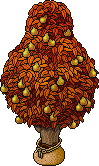 Sacked Pear Tree (Orange)