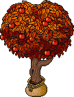 Sacked Apple Tree (Orange)