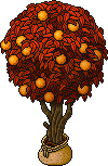 Sacked Orange Tree (Red)