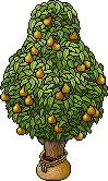 Sacked Pear Tree